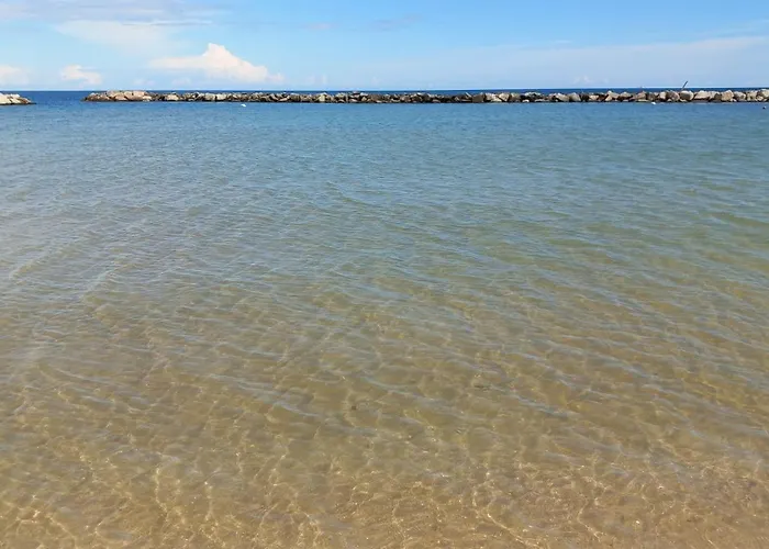 Vinsea Bellaria-Igea Marina