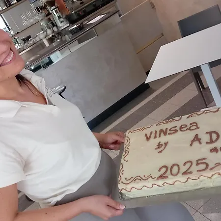 Hotel Vinsea