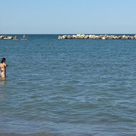 Vinsea Bellaria-Igea Marina
