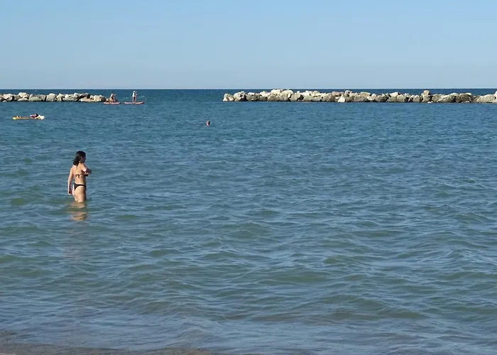 Vinsea Bellaria-Igea Marina